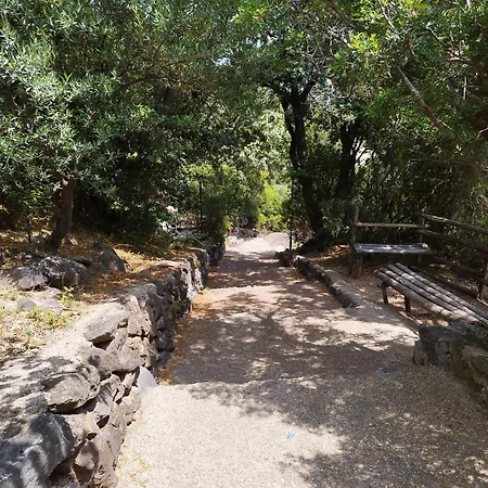 Icore A Mare Iun T7289