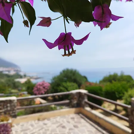 Icore A Mare Iun T7289 *