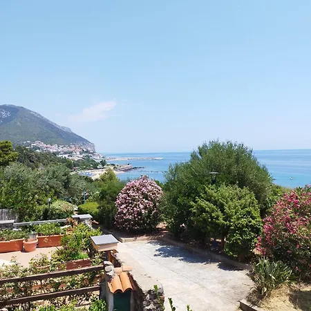 Icore A Mare Iun T7289 アパート *