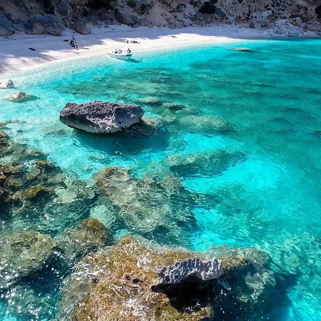 Icore A Mare Iun T7289 *